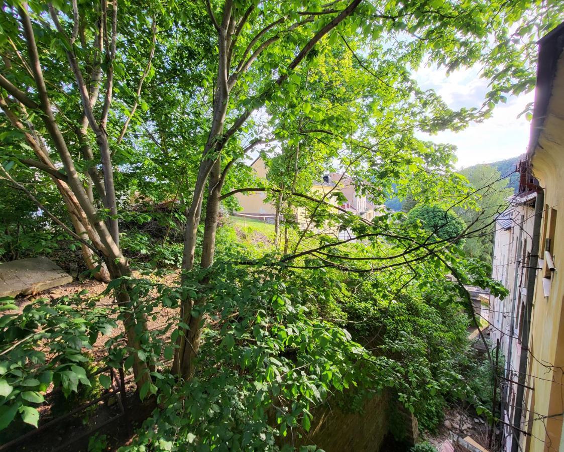 Excellent Apartments In Spa City Center 5 Min Walk From The Colonnade Karlovy Vary Exterior photo