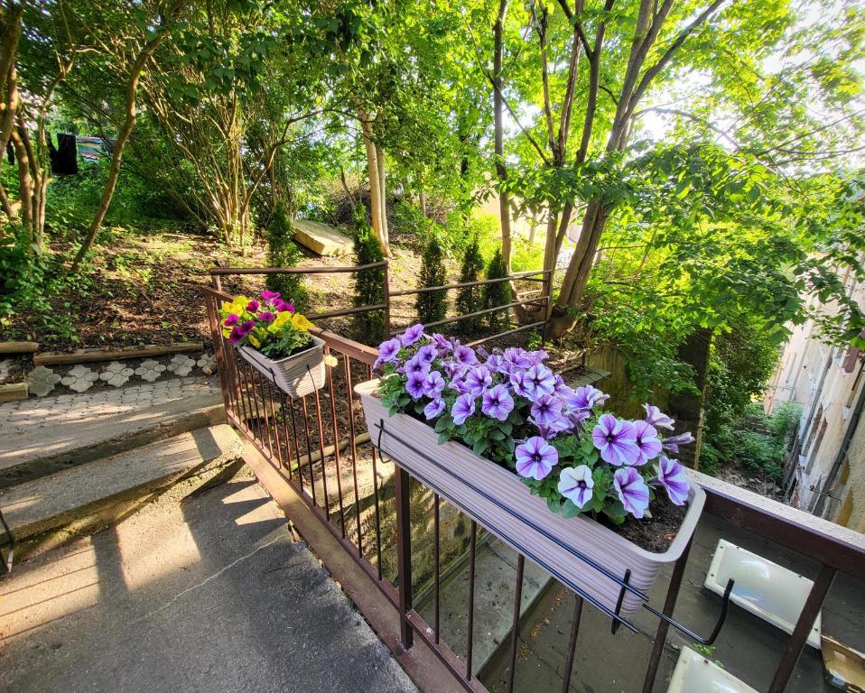Excellent Apartments In Spa City Center 5 Min Walk From The Colonnade Karlovy Vary Exterior photo